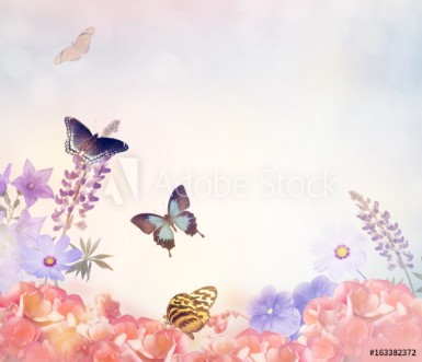 Picture of Flowers and Butterflies